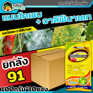 🥬 💥💥 สินค้ายกกล่อง 💥💥 เอสโตเคด (แมนโคเซบ+วาลิฟีนาเลท) บรรจุ 1กล่อง100กรัม*10ซอง ป้องกันโรคใบไหม้ ราน้ำค้าง