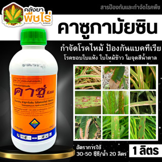 🌽 คาซู่ (คาซูกาไมซิน) 1ลิตร ป้องกันเชื้อรา โรคไหม้และแบคทีเรีย