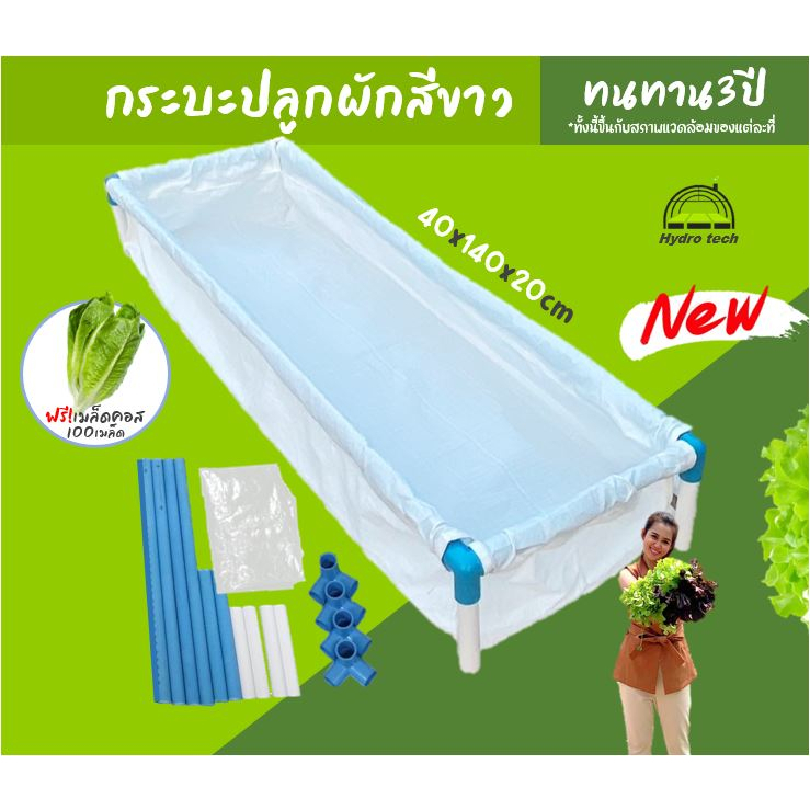 [ใหม่ล่าสุด] กระบะขาวปลูกผักพร้อมโครง กะบะเพาะปลูก แปลงผักเพาะปลูก