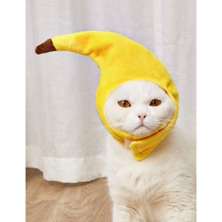 •homechacha• หมวกน้องหมาน้องแมว ไอเจ้าหัวกล้วย 🍌