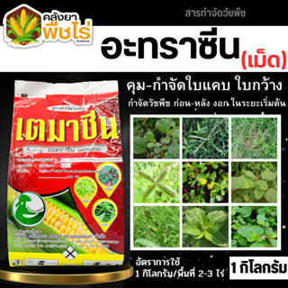 🌽 เตมาซีน (อะทราซีน90%WG) 1กิโลกรัม คุมก่อนวัชพืชใบแคบงอกในไร่อ้อย