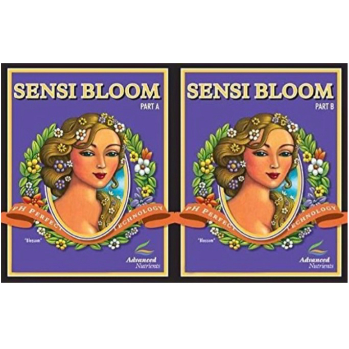 Sensi Coco Bloom A&amp;B