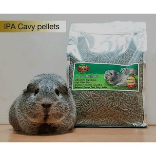 Cavy pellet IPA 2 กิโล สำหรับเเก๊สบี้