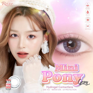 Mini pony gray คอนแทคเลนส์ (ค่าอมน้ำ 55%)