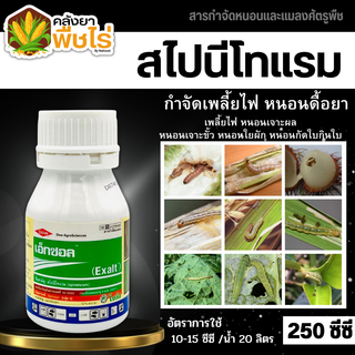 🌽 เอ็กซอล (สไปนีโทแรม) 250ซีซี กำจัดหนอน และเพลี้ยไฟได้เด็ดขาด ทั้งแบบถูกตัวตายและกินตาย