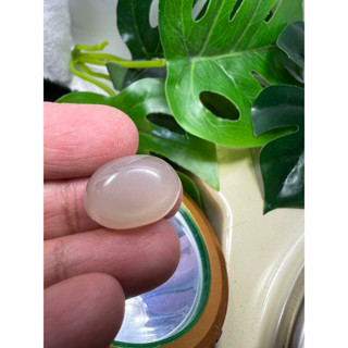 16.30 carats size 14x17mm Moon stone Natural