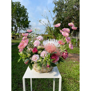 🌻ของใหม่🪴กรเช้าเหลี่ยม/กลม(แชมถามก่อนได้ค่ะ)