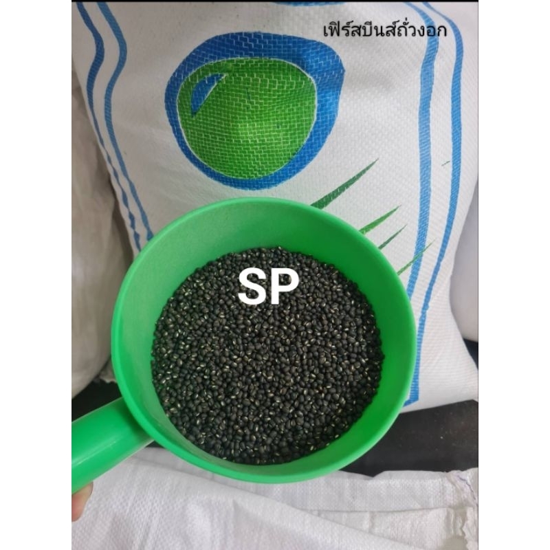 ถั่วแขก  SP ถั่วแขกพม่า ขนาด  500 กรัม