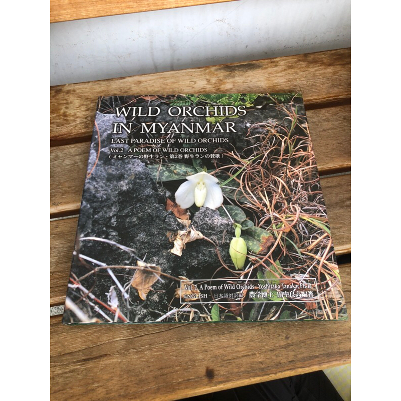 Wald Orchids In Myanmar Vol.2