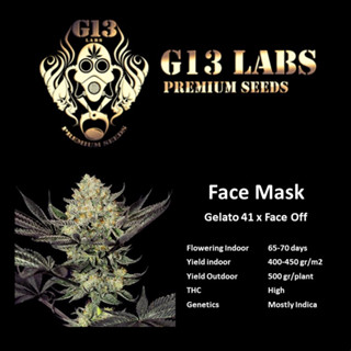 Face Mask - G13 Labs