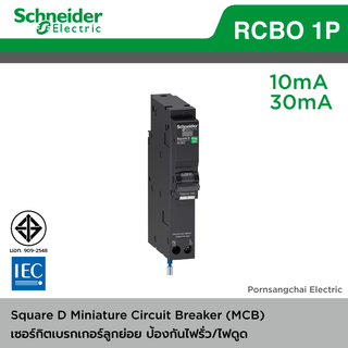 Schneider เซอร์กิตเบรกเกอร์กันไฟดูด/ไฟรั่ว Circuit Breaker 1P 16A - 20A ชไนเดอร์ รุ่น QOvs-RCBO