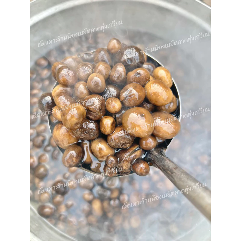 🍄เห็ดเผาะคัดอ่อน-เห็ดหนัง100% [นน.250g.]
