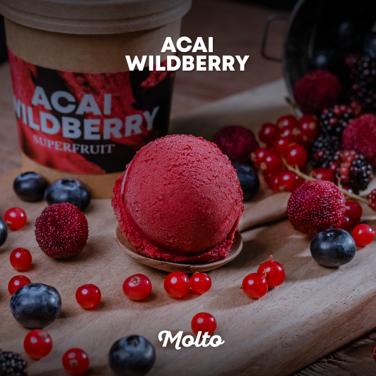Acai wildberry (ไอศกรีมซอร์เบท์อาซาอิผสมเบอร์รี 1 ถ้วย 16 oz.) - Molto premium Gelato