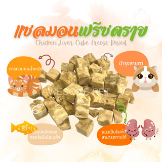 เนื้อปลาแซลมอนฟรีซดราย Salmon Freeze-Dried 100% ขนมฟรีซดราย ขนมสัตว์เลี้ยง จากเนื้อปลาแซลมอนฟรีซดรายแท้