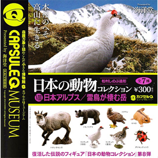 (มีของพร้อมส่ง) Gashapon กาชาปองนกทาร์มิแกนหิมะ Animals Of Japan Vol.08 Capsule Q Museum Kaiyodo โมเดลสัตว์