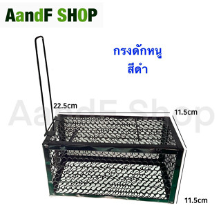 กรงดักหนู กรงหนู สปริง 2 ตัว โครงหนา กรงดักหนู กรงดักหนูแบบมีโครง กรงดักหนูสปริงคู่ กรงดักหนูนา กรงดักหนูเล็ก (สีดำ)