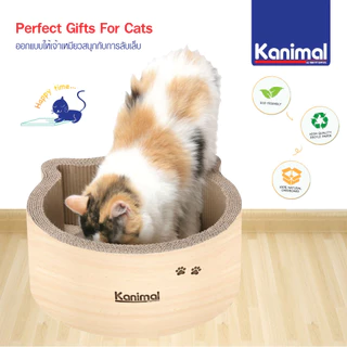 [80202] Kanimal Cat Toy ของเล่นแมว ที่ลับเล็บแมว รูปบ่อหน้าแมว Size L ขนาด 36x36x15 ซม. แถมฟรี! Catnip กัญชาแมว