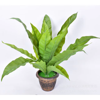 FE-04*พร้อมส่ง*ต้นไม้ปลอมเฟิร์นข้าหลวง 18 ใบ สูง 52 ซม.