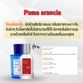 Pama arancia น้ำหอม Forest