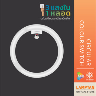 LAMPTAN หลอดไฟกลม LED Circular Colour Switch 24W 3 แสงใน 1 หลอด เปลี่ยนแสงด้วยสวิทช์ไฟ
