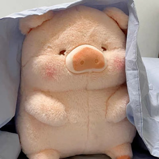 โค้ด " USY4CU " ลดสูงสุด 65.- ˗ˏˋตุ๊กตาน้องหมู 𝐥𝐮𝐥𝐮 🐷 ´ˎ˗