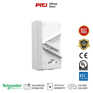 Schneider Concept WHS20_GY Waterproof Isolator Switches สวิตช์สำหรับแยกวงจร IP66 ชนิดกันน้ำ ขนาด 1P (20A) สีเทา