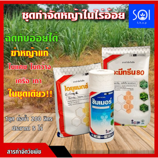 ชุดกำจัดหญ้า ในไร่อ้อย "ชุดปราบหญ้าอ้อย"✅[อะมีทรีน80+ไดยูรอน80+ซิมเมอร์2,4ดี] ✅ฉีดทับอ้อยได้เลย กำจัดใบกว้าง ใบแคบ เครื