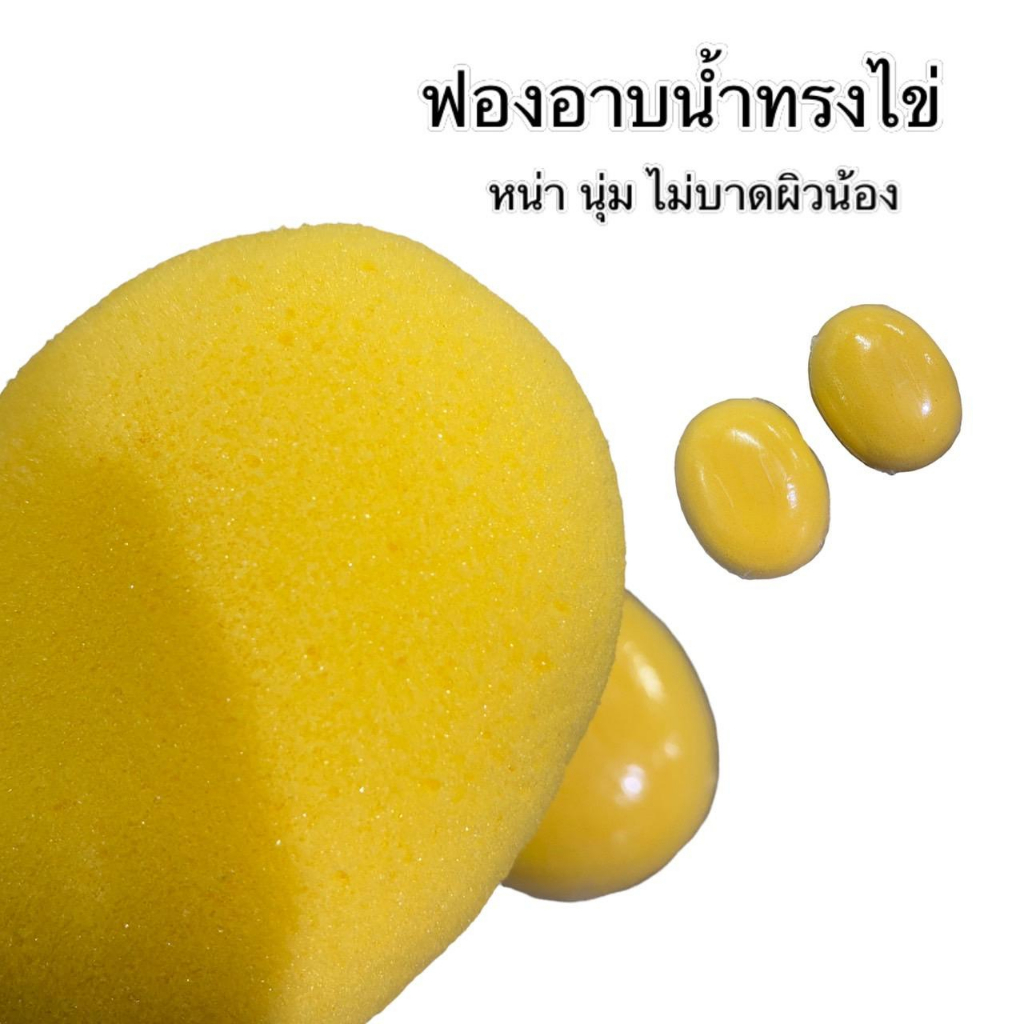 ฟองน้ำ ฟองอาบน้ำ ฟองน้ำรูปไข่