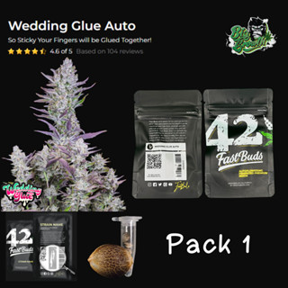 เมล็ดกัญชา Wedding Glue Auto - Fastbuds แพ็ค1เมล็ด