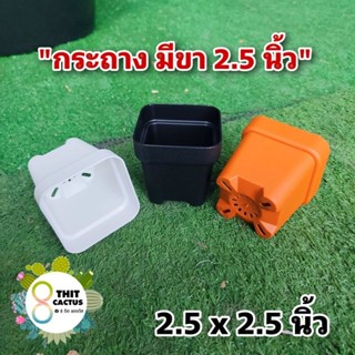 กระถาง สี่เหลี่ยม มีขา 2.5 นิ้ว // กด 100 ใบ 350 บาท -- 2.5 นิ้ว กระถางยกขา แคคตัส กระบองเพชร พลาสติก