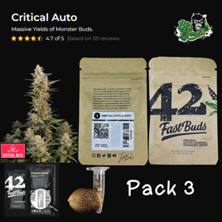 เมล็ดกัญชา Original Critical (Auto) - Fastbuds แพ็ค3เมล็ด