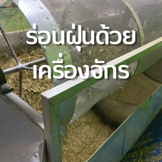 หญ้าอัลฟาฟ่า หญ้าอัลฟาฟ่าสับ Alfalfa โอ๊ตสับ เกรดพรีเมียม ร่อนฝุ่น 1 กิโลกรัม Alfalfa