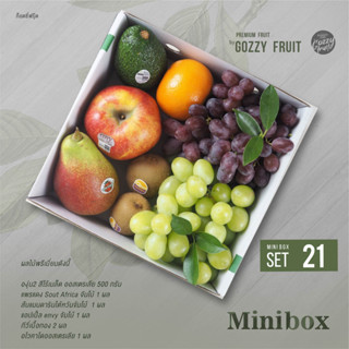 Premium fruit Mini box set 21