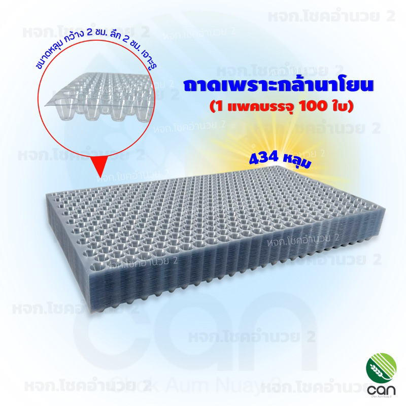 ( 100 ใบ/แพค) ถาดเพาะกล้านาโยน 434 หลุม ถาดเพาะ ถาดเพาะกล้าข้าว ถาดเพาะชำ