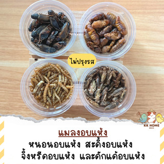 จิ้งหรีดอบแห้ง สะดิ้งอบแห้ง ดักแด้อบแห้ง หนอนอบแห้ง แมลง อาหารสัตว์เล็ก แฮมเตอร์ ชูการ์ไกรเดอร์ เม่นแคระ กระรอก กิ้งก่า