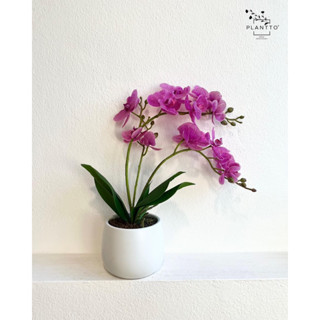 กล้วยไม้ประดิษฐ์ Phalaenopsis Aphrodite Orchid (Spot Purple) 12W x 45H (cm)