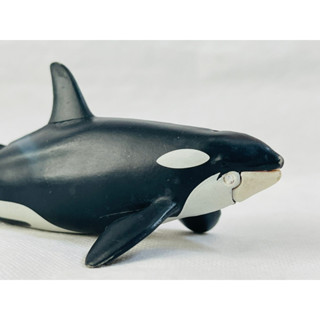 Killer whale โมเดลวาฬเพชฌฆาต โมเดลสัตว์น้ำทะเล ขยับปาก ขยับหางได้ โมเดลเหมือนจริง สีสันสวยงาม **มีตำหนิขายถูก**