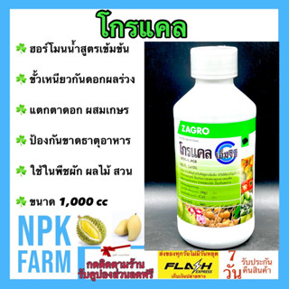 โกรแคล ขนาด 1 ลิตร ซาโกร ฮอร์โมน แคลเซียม-โบรอน แมกนีเซียม สังกะสี เพิ่มการแตกตาดอก ผสมเกสร ป้องกันดอกผลร่วง ใช้ในพืช