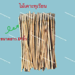 ไม้เคาะทุเรียนก้านทำจากหวายจำนวน10ไม้