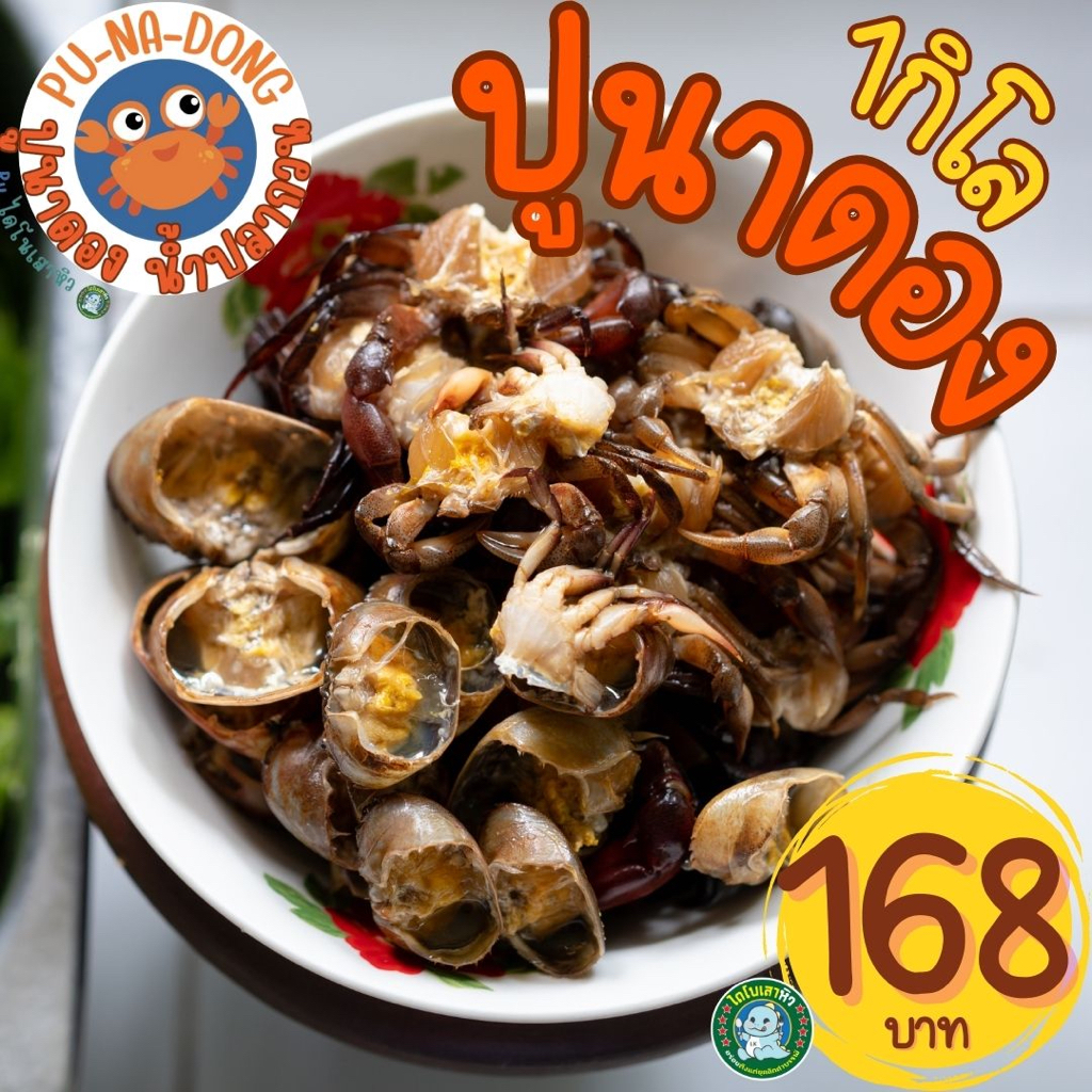 [ อร่อย..ดูดนิ้ว] ปูดอง ปูนา ปูนาดอง ปูดองน้ำปลา สูตรโบราณ ปูดองน้ำปลากวน ส้มตำปูดอง อร่อย ดูดนิ้ว
