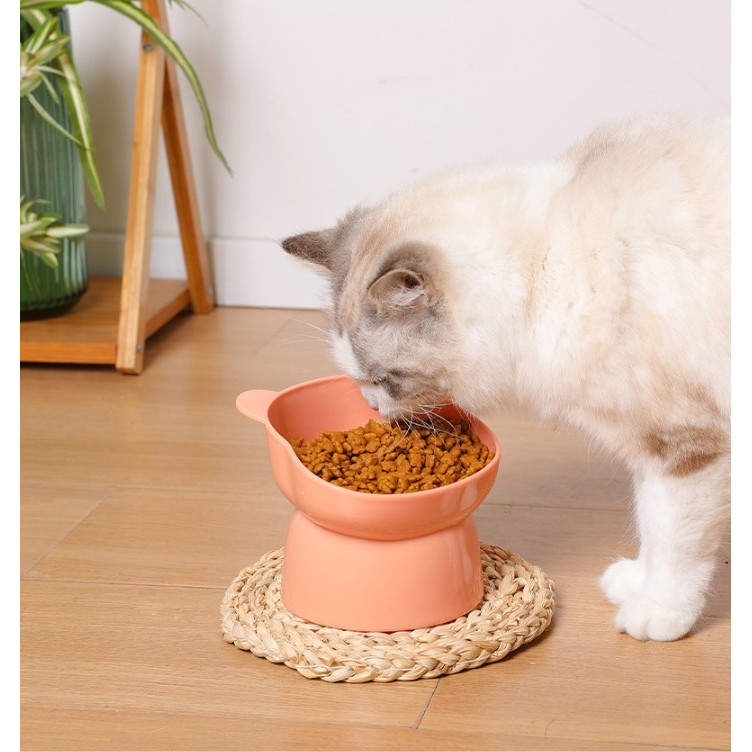 PEKO PETCAT [BL056] ชามอาหาร ชามข้าวแมว ชามข้าวสุนัข ถ้วยใส่อาหาร ชามอาหารสัตว์เลี้ยง