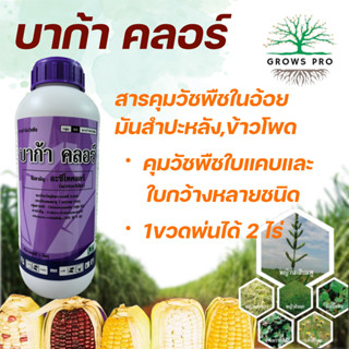 GrowsPro สารควบคุมวัชพืช บาก้าคลอร์ 1 ลิตร (อะซีโทคลอร์) ยาคุมหญ้าในไร่อ่อย ข้าวโพด มันสำปะหลัง ต้นหอม