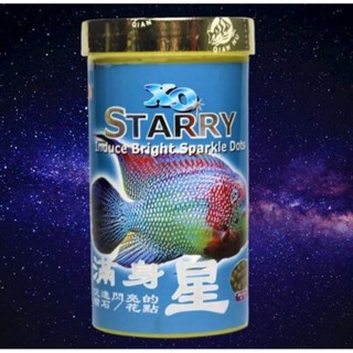 XO STARRY(อาหารปลาหมอสีสูตรเร่งมุก)