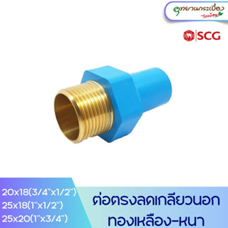 ข้อต่อตรงลดเกลียวนอกทองเหลือง 3/4"x1/2"(6ลด4หุน),1"x1/2"(1"ลด4หุน),1"x3/4"(1"ลด6หุน) SCG PVC Reducing Brass Valve Socket