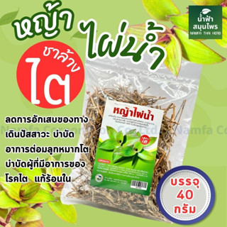 สมุนไพรหญ้าไผ่น้ำ..ขนาด 40 กรัม พร้อมส่ง ร้านส่งไว ลดบวม บำรุงไต บำรุงร่างกาย ขับนิ่ว ชะลอความเสื่อมของไต