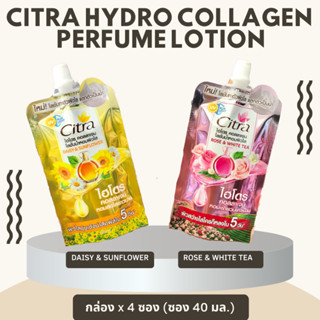 CITRA ซิตร้า ไฮโดร คอลลาเจน เพอร์ฟูม โลชั่น กล่อง x 4ซอง [ ซอง 30 มล. ]