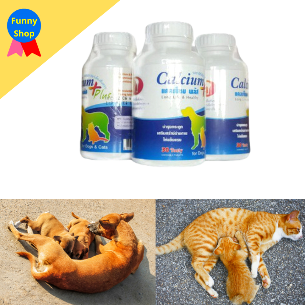 (บำรุงแม่แมว แม่หมา ให้นมลูก) แคลเซียม (calcium plus) บำรุงกระดูก แมว หมา แม่สุนัข ลูกสุนัข ลูกแมว