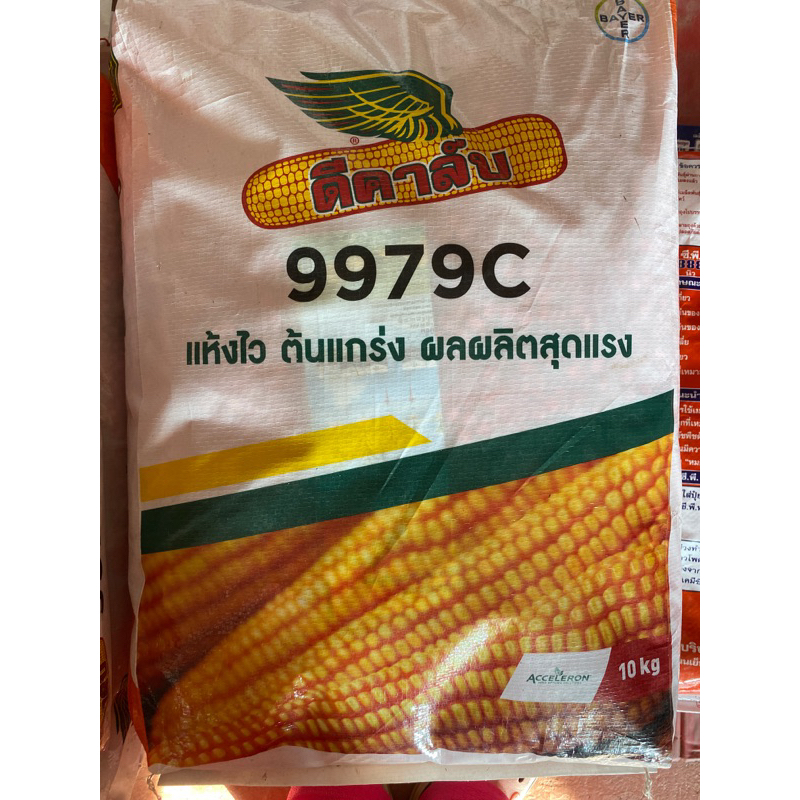 ข้าวโพดเลี้ยงสัตว์ 9979c ดีคาล์บ ขนาด4หุน 3หุน