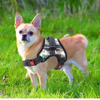 ายรัดอกสุนัข สายรัดอกสัตว์เลี้ยง สายรัดอกหมา ไม่รวมสายจูง V Pet Durable Reflective Harness