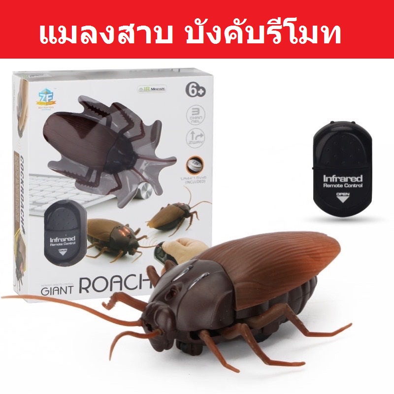 แมลงสาบบังคับ แมลงสาบบังคับรีโมท แมลงสาบ แมงสาปบังคับ แมลงสาปบังคับ แมลงสาปบังคับรีโมท แมงสาป